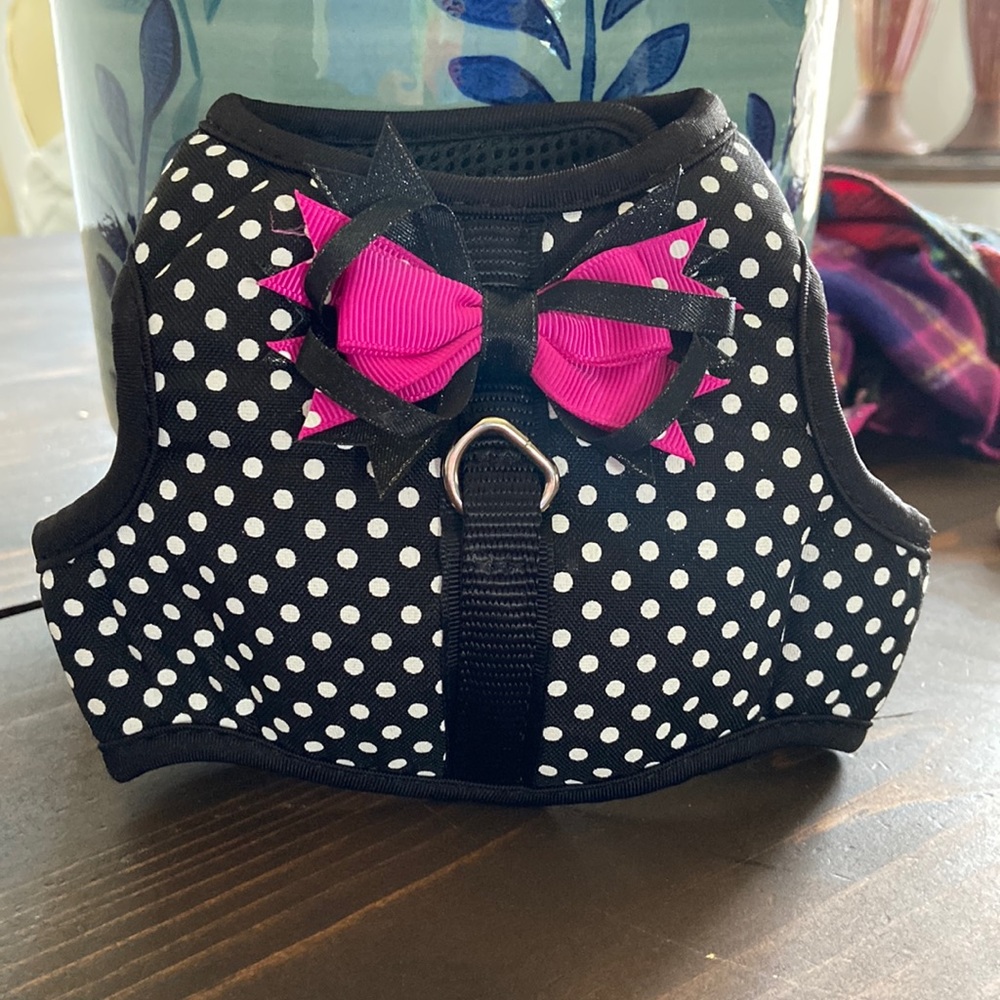 Dog harness